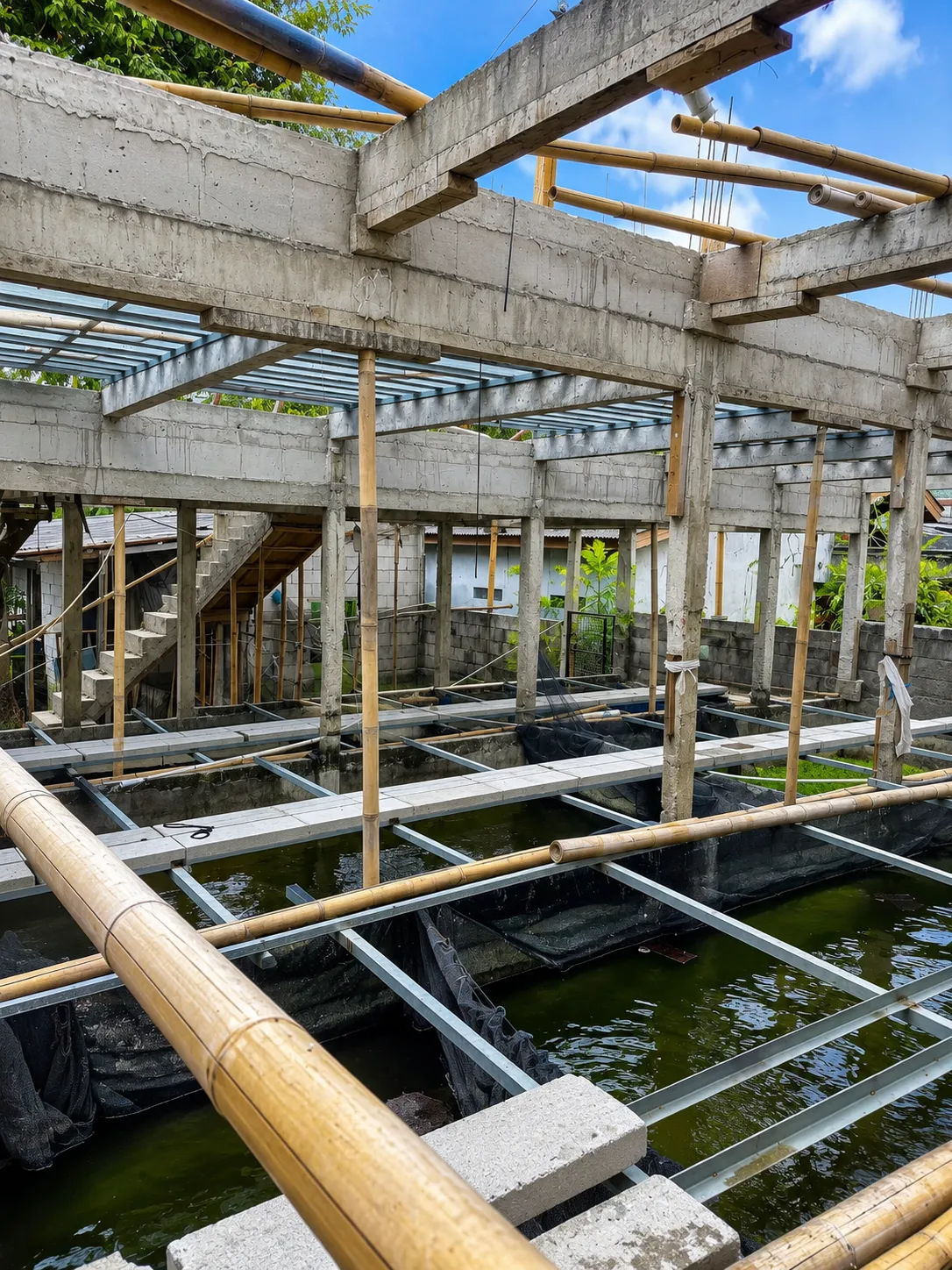 Kolam budidaya ikan air tawar di lingkungan hijau